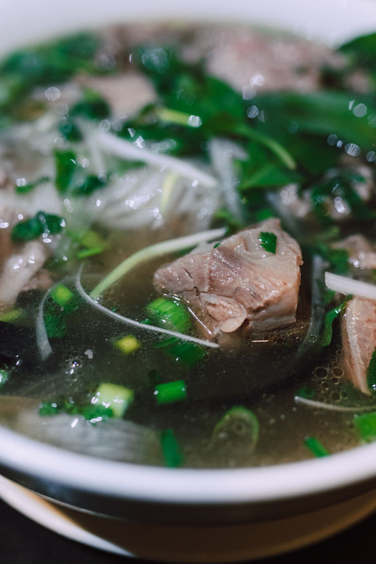Phở Việt Nam zblízka